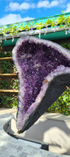 Load image into Gallery viewer, Amethyst Angel Wings Butterfly Wings on gold stand

