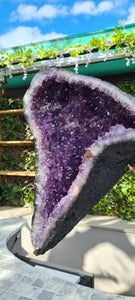 Amethyst Angel Wings Butterfly Wings on gold stand