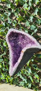 Amethyst Angel Wings Butterfly Wings on gold stand
