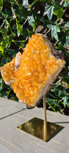 Load image into Gallery viewer, Citrine Cluster on gold Stand - Druzy - Yellow - Citrine Raw
