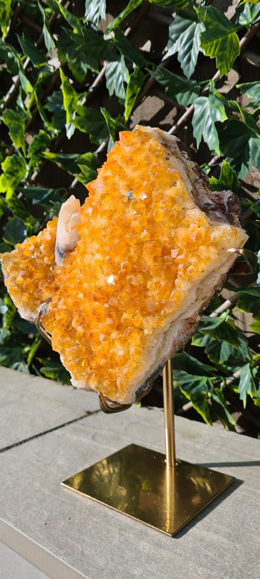 Citrine Cluster on gold Stand - Druzy - Yellow - Citrine Raw