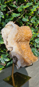 Citrine Cluster on gold Stand - Druzy - Yellow - Citrine Raw