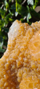 Citrine Cluster on gold Stand - Druzy - Yellow - Citrine Raw