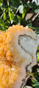 Citrine Cluster on gold Stand - Druzy - Yellow - Citrine Raw