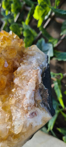 Citrine Cluster on gold Stand - Druzy - Yellow - Citrine Raw
