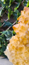 Load image into Gallery viewer, Citrine Cluster on gold Stand - Druzy - Yellow - Citrine Raw
