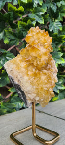Citrine Cluster on gold Stand - Druzy - Yellow - Citrine Raw
