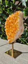 Load image into Gallery viewer, Citrine Cluster on gold Stand - Druzy - Yellow - Citrine Raw

