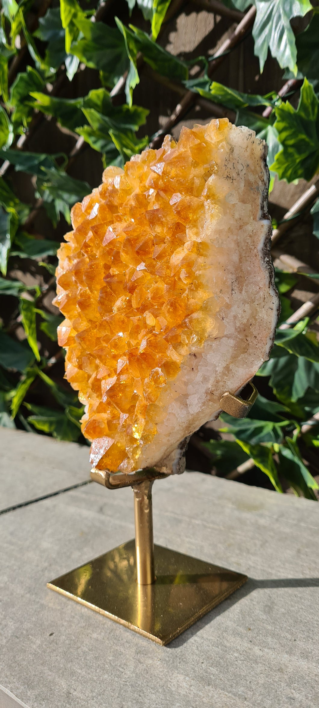 Citrine Cluster on gold Stand - Druzy - Yellow - Citrine Raw