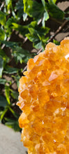 Load image into Gallery viewer, Citrine Cluster on gold Stand - Druzy - Yellow - Citrine Raw
