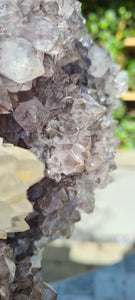 Amethyst with Calcite tooth - Shark tooth shape - Rainbow amethyst