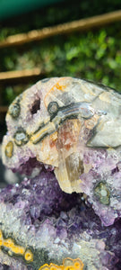 Amethyst rare from Uruguay Rainbow colours - Multi Dimensional - Coffee Bean or Pac Man