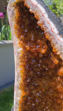 Load and play video in Gallery viewer, Heated Citrine Angel wings Butterfly wings on stand - MONARCH
