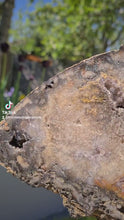 Load and play video in Gallery viewer, PINK AMETHYST ANGEL WINGS - AMOR ROSA
