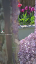 Load and play video in Gallery viewer, Amethyst on spinning stand - Large Crystal - Pico Do Cristal
